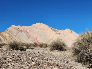Pampa del Leoncito