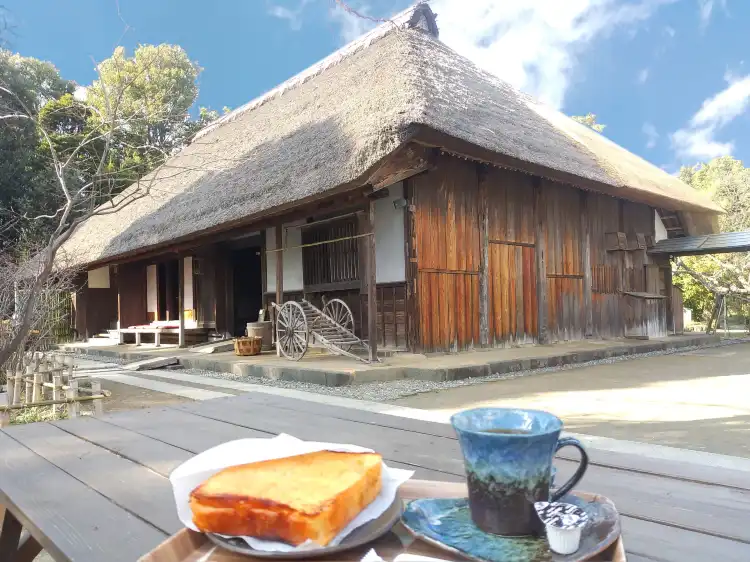 Hotels in Kaisei