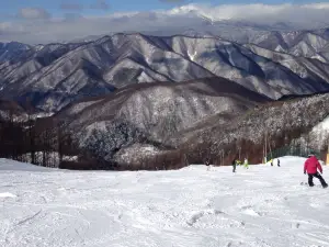 Nomugi Toge Ski Resort