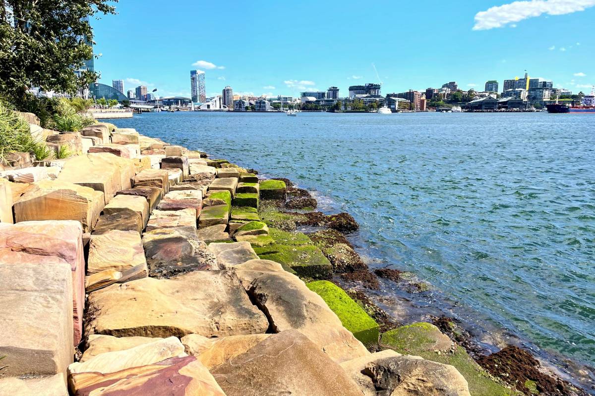 Barangaroo Reserve​