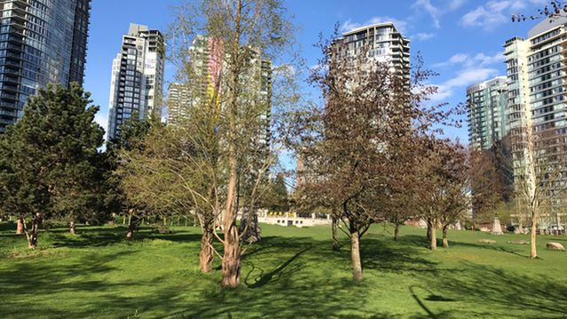 George Wainborn Park