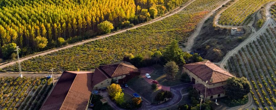 Bodegas Amezola de la Mora