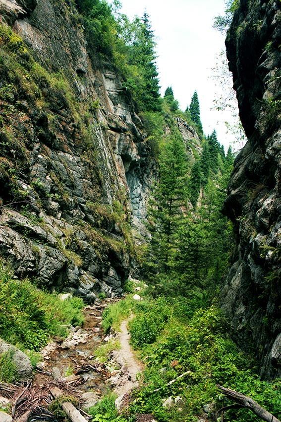 Gorge Monakhovo