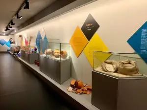 Museo Galego do Entroido