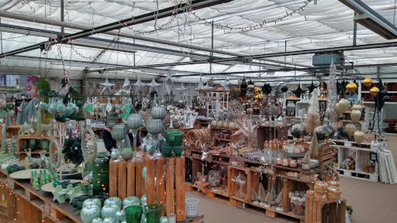 Blumen Risse Gartencenter Recklinghausen