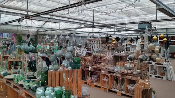 Blumen Risse Gartencenter Recklinghausen