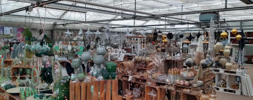 Blumen Risse Gartencenter Recklinghausen