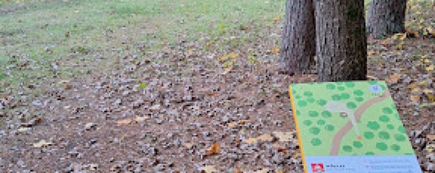 Ikšķiles disku golfa parks