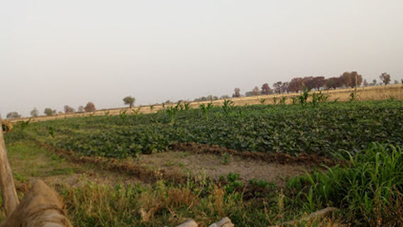 Shaheed Rajendra School Park