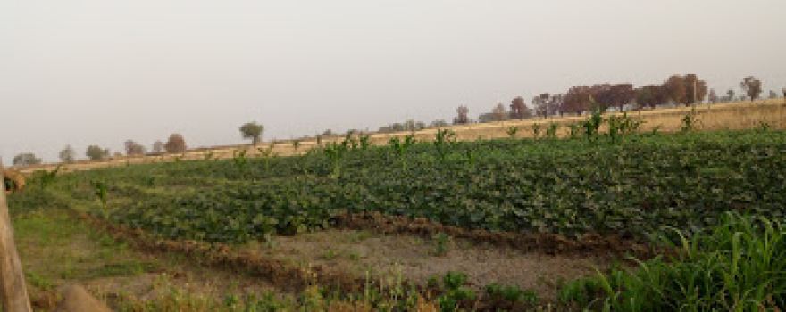 Shaheed Rajendra School Park