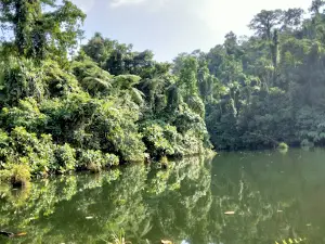 Massapi Lake