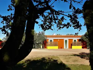 Camping Puro Alentejo