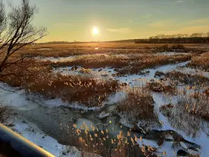 Zerwany Most (część wschodnia)