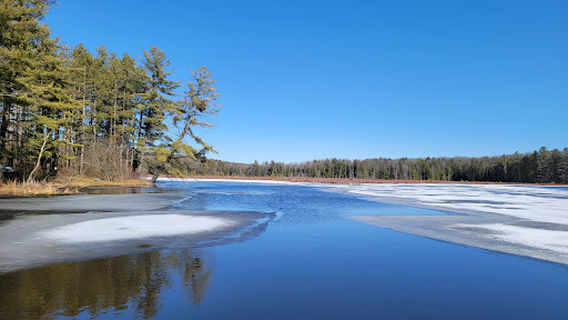 Hanging Bog Wildlife Management Area