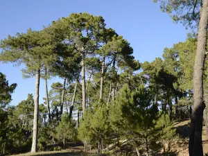 Centro de Educacion Ambiental La Dehesa