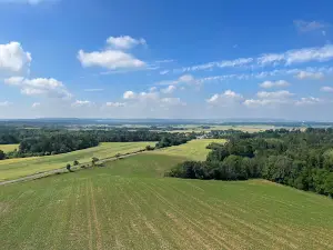 Jarník