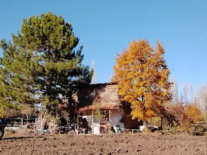 Senbaglar Koyu Muhtarligi