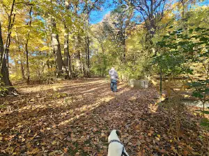 East China Township Park