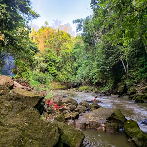 Obyek Wisata Goa Gajah