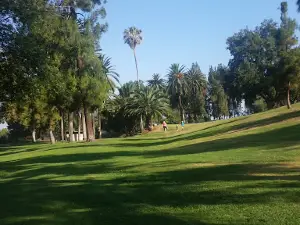 Ford Park