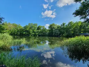 City Park