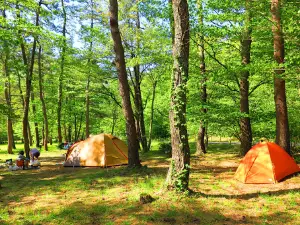 Mt. Sanbe Kitanohara Camping Ground