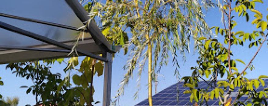 Sarl Jardin Des Terres Froides