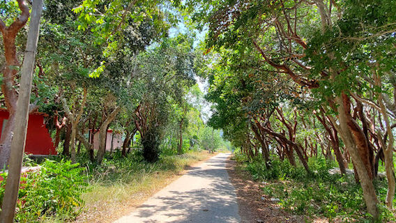 Santa Cruz del Norte