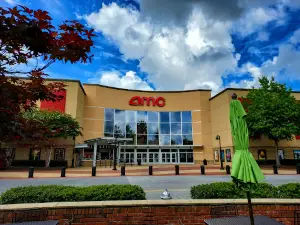 AMC Avenue Forsyth 12