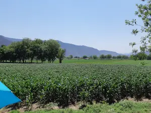 Cerrito de Tlacotepec