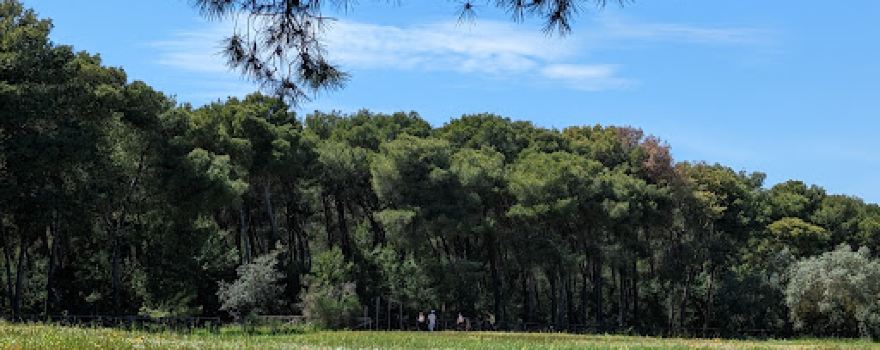 Parco della Poesia