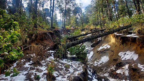 Arenal de la Malintzi