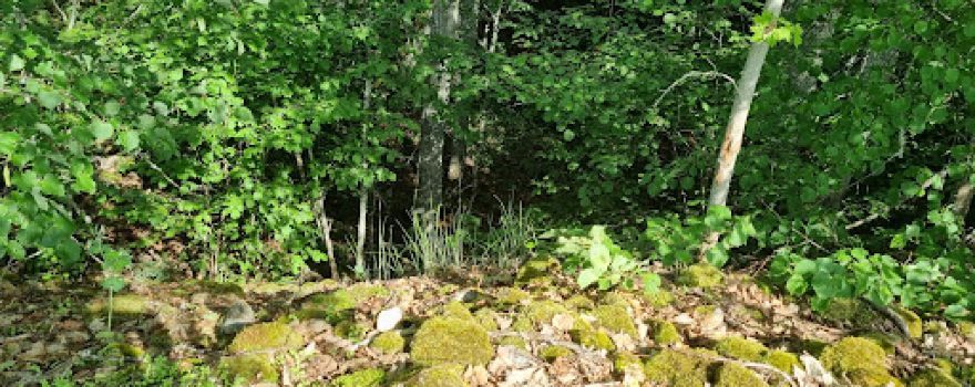 Tudulinna vulkaan – Eesti ainuke vulkaan