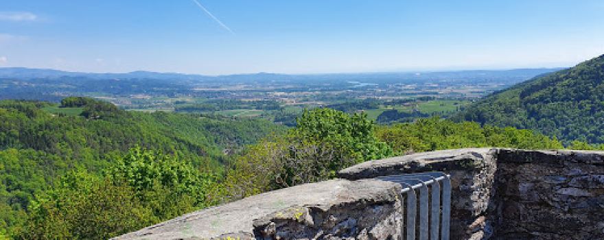 Burgruine Stauf