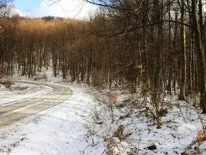 Papuk – vrh Ivačka glava