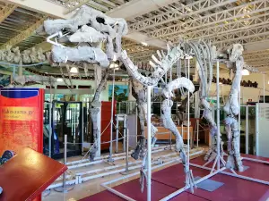 Museum of Paleontology Delicias