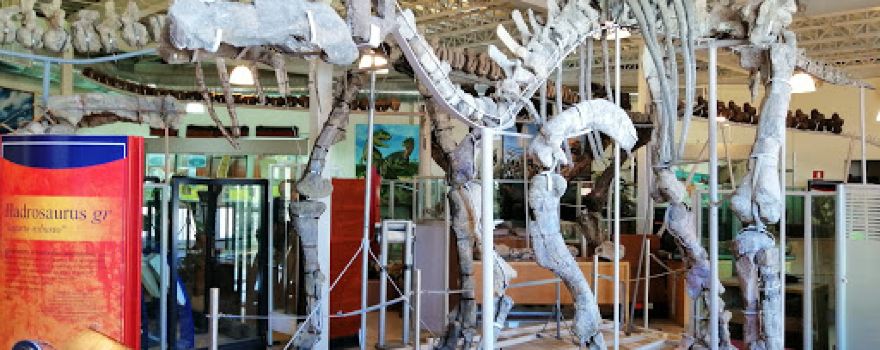 Museum of Paleontology Delicias