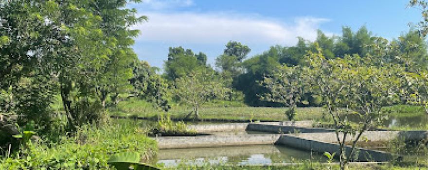 Widya Garden Kolam Pancing & Rekreasi