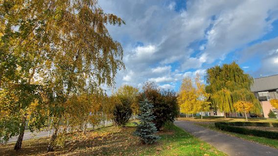Parcul Sportiv