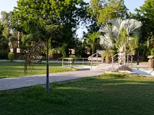 Telenor Park