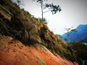 Nepal India Border Marking Pillar