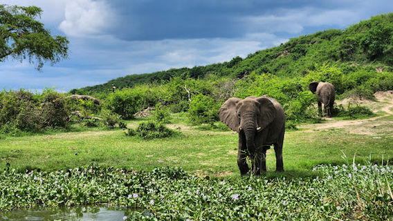 Main Gate, UWA, Kasenyi Uganda