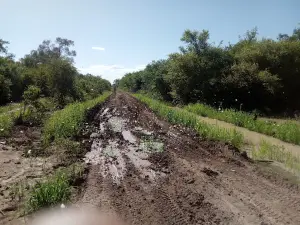 Parque Nacional del Gran Chaco Kaa-Iya