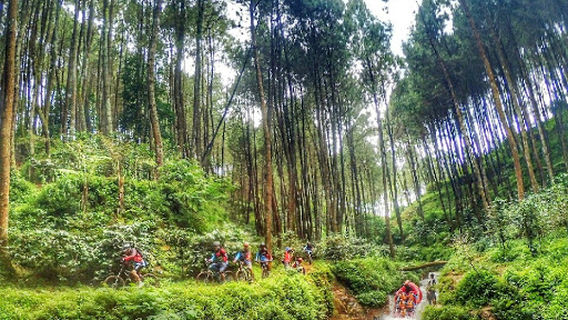 Bandung