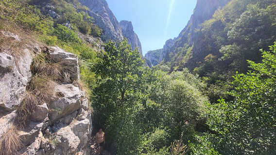 Panoramic Point