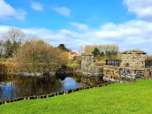 Toome Canal Walk