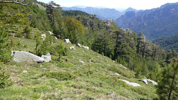 Refuge d'E Capannelle