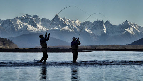 Fly Guides