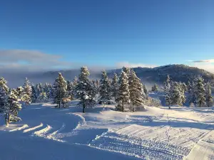 Brokke Alpinsenter