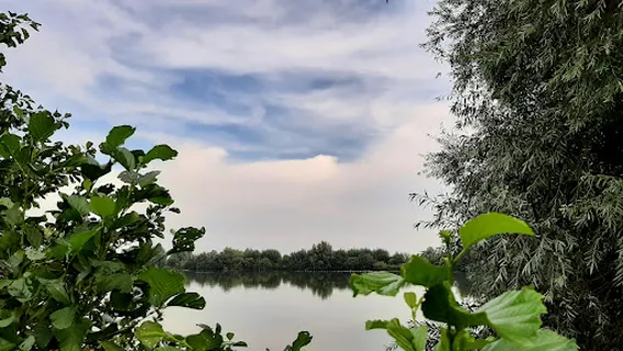 Vogelkijkscherm Bosmankade